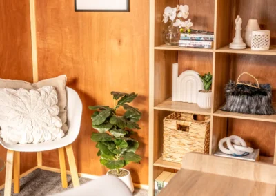 Corner of a cabin interior with an armchair, cube shelving and houseplant against plywood lining
